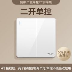 德力西（DELIXI）带开关插座暗装无边框大板白色墙壁面板家用 502官网电源全屋定制 二开单控（2开单联） 官方装饰装修全屋室内纯平套餐