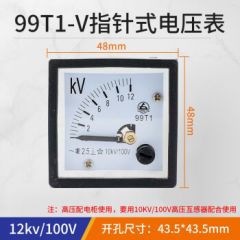 汇君（HUIJUN） 交流电流表12KV 指针电压表互感式75 100 200 300/5A 电压表99T1-V交流【12KV】